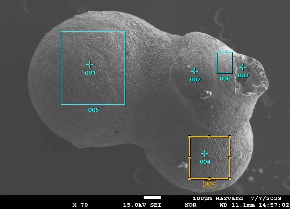 Immagine al microscopio elettronico della sferula 21. Crediti: Progetto Galileo/Avi Loeb
