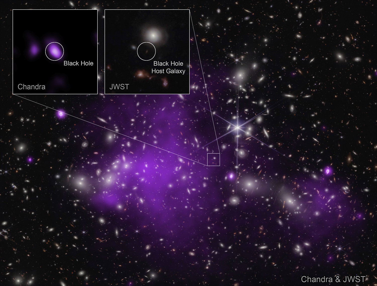 Queste immagini mostrano l’ammasso di galassie Abell 2744 dietro cui si trova UHZ1, nei raggi X di Chandra e nei dati infrarossi di Webb, nonché primi piani della galassia ospite del buco nero UHZ1.  Crediti: -ray: NASA/CXC/SAO/Ákos Bogdán; Infrared: NASA/ESA/CSA/STScI; Image Processing: NASA/CXC/SAO/L. Frattare & K. Arcand